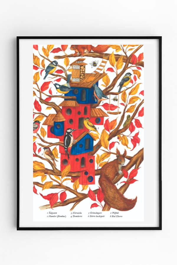 Casa na Árvore - Trädkoja