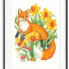 RAPOSA & NARCISSUS