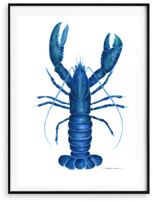 LAGOSTA - LOBSTER